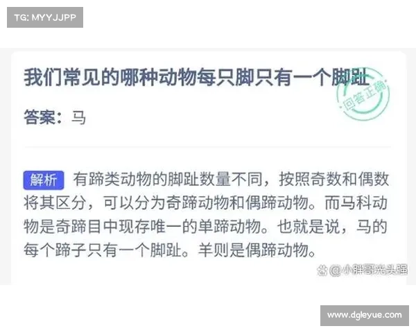 马的脚趾结构与其他动物的比较解析及其生物学意义 马的脚趾结构与其他动物的比较解析及其生物学意义