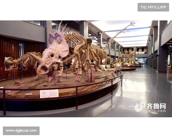 揭开古老世界神秘生物面纱探索远古生命奥秘与奇异传说 揭开古老世界神秘生物面纱探索远古生命奥秘与奇异传说