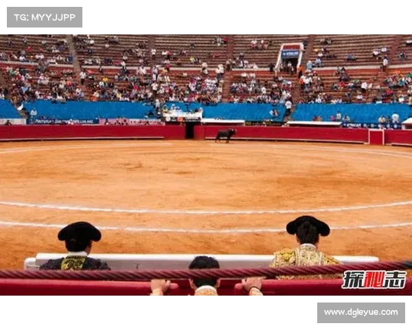 如何报名参加北美洲杯赛并获得参赛资格的详细指南